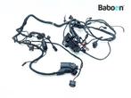 Kabelboom BMW F 700 GS (F700GS K70) (8534518), Motoren, Gebruikt