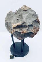 Niet-geclassificeerde NWA meteoriet Chondrite meteoriet -