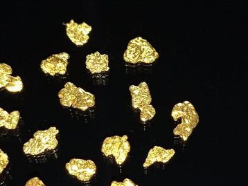 Briljante Gouden Nuggets - Yukon/Canada Goud nuggets- 0.5 g