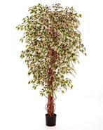 Kunstplant Ficus Hawaiian Mixed 180 cm, Huis en Inrichting, Kamerplanten, Verzenden