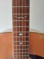 Washburn - D25S N - - Guitare acoustique - Japon - 1992, Nieuw