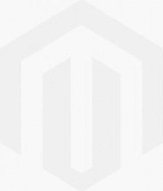 De Vesting Naarden / Waanders monumenten reeks / 5, Boeken, Reisgidsen, Gelezen, Verzenden