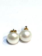 Parel - Zilver - Oorbellen, Antiek en Kunst