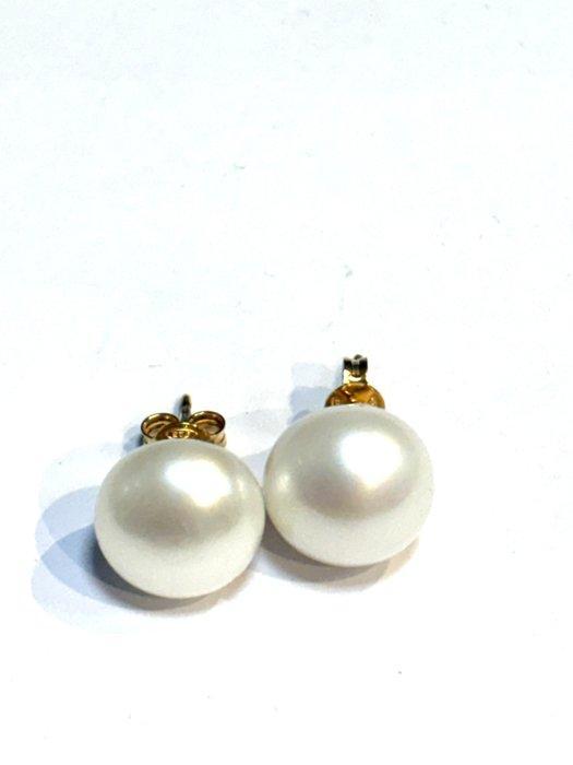 Parel - Zilver - Oorbellen, Antiek en Kunst, Curiosa en Brocante