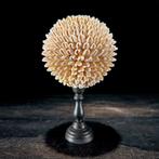 Decoratief ornament - NO RESERVE PRICE - Wonderful Pair of