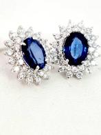 Boucles doreilles - 18 carats Or blanc Saphir - Diamant, Handtassen en Accessoires, Oorbellen, Nieuw