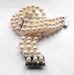 Armband 333 / 8 kt witgoud - Akoya parels - 3- rijig, Handtassen en Accessoires, Armbanden, Nieuw