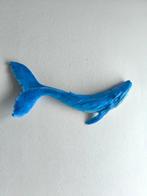 Federico Alibrio - Blue Whale