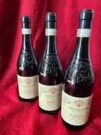 2019 Dezzani Tradizione San Carlo - Barolo DOCG - 3 Flessen, Nieuw