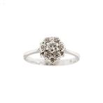 Ring - 18 karaat Witgoud Diamant (Natuurlijk), Nieuw