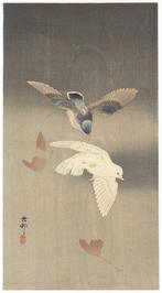 Pigeons with Falling Ginkgo Leaves in Rain  -