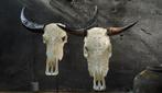 PAS DE PRIX DE RÉSERVE - Crâne de taureau sculpté blanc -