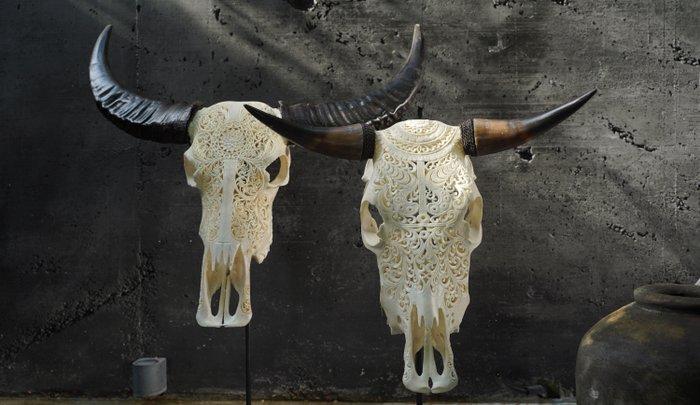 PAS DE PRIX DE RÉSERVE - Crâne de taureau sculpté blanc -, Antiquités & Art, Art | Objets design