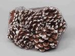 Dennenappel Pinus Pinea White Tip Net 10 stuks, Huis en Inrichting, Woonaccessoires | Kunstplanten en Kunstbloemen, Nieuw