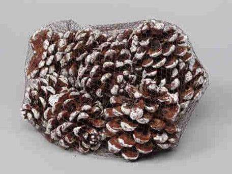 Dennenappel Pinus Pinea White Tip Net 10 stuks, Huis en Inrichting, Woonaccessoires | Kunstplanten en Kunstbloemen, Nieuw