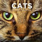 Cat Coffee Table Book 9780956264237, Livres, Livres Autre, Procter and Gamble International Operations, Verzenden