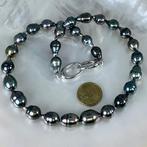 Collier Argent Perle - Tahiti multi Ø9,1x11,10MM, Nieuw