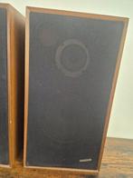 Pioneer - CS-313A Luidsprekerset