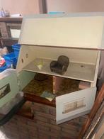 aucune info - Poppenhuis - 1950-1960, Antiek en Kunst