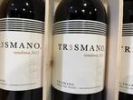 2021 Bodegas Tr3smano - Ribera del Duero - 3 Flessen (0.75, Nieuw