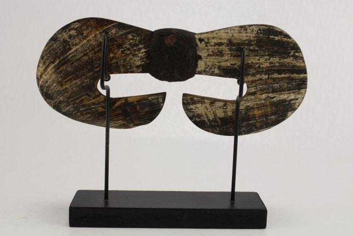 Neusversiering bipane - Asmat - Papoea-Nieuw-Guinea, Antiek en Kunst, Kunst | Niet-Westerse kunst
