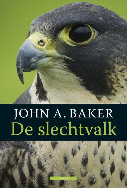 Vogelboeken - De slechtvalk 9789045083995, Livres, Littérature, Envoi