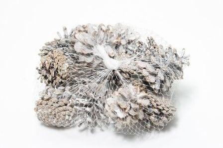 Dennenappels Oostenrijkers Blue Pine Frosted 15 stuks, Hobby en Vrije tijd, Knutselen, Nieuw