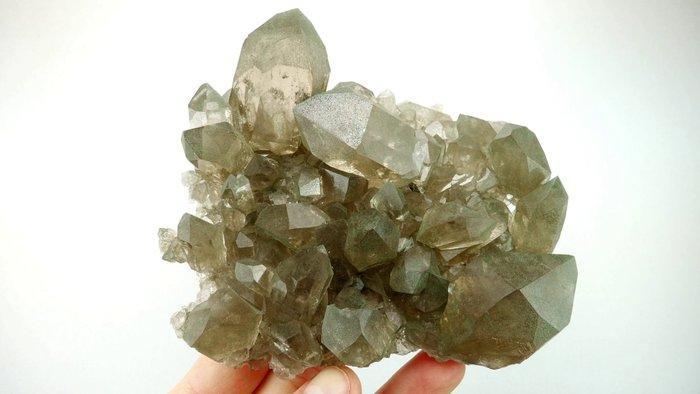 Quartz fumé - Aiguilles Marbrées, Mont-Blanc, France -, Collections, Minéraux & Fossiles