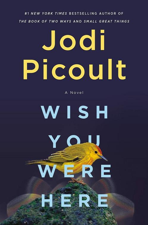 Wish You Were Here 9780593497203 Jodi Picoult, Boeken, Overige Boeken, Gelezen, Verzenden