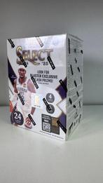 2024/25 Panini Select NBA Victor Wembanyama, LeBron James,