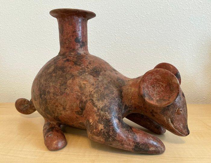 Figure animale précolombienne de Colima, probablement un, Verzamelen, Mineralen en Fossielen