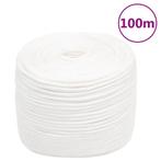 vidaXL Boottouw 6 mm 100 m polypropyleen volwit, Verzenden, Nieuw