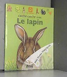 Cache-cache avec le lapin (Mes livres magiques) ...  Book, Livres, Livres Autre, Envoi