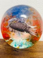 pino signoretto - sculptuur, Acquario - 8 cm - Glas, Antiek en Kunst