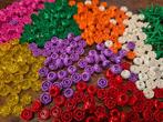 Lego Pièces - Lego bloemen rozen new, Nieuw