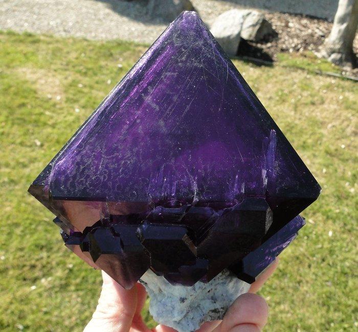 XXL Alunite Amazone Deep Purple - het grootste enkele, Verzamelen, Mineralen en Fossielen