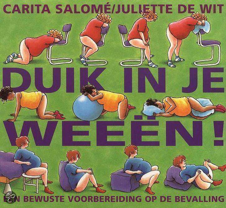 Duik in je weeën! 9789026922749 Carita Salomé, Boeken, Zwangerschap en Opvoeding, Gelezen, Verzenden