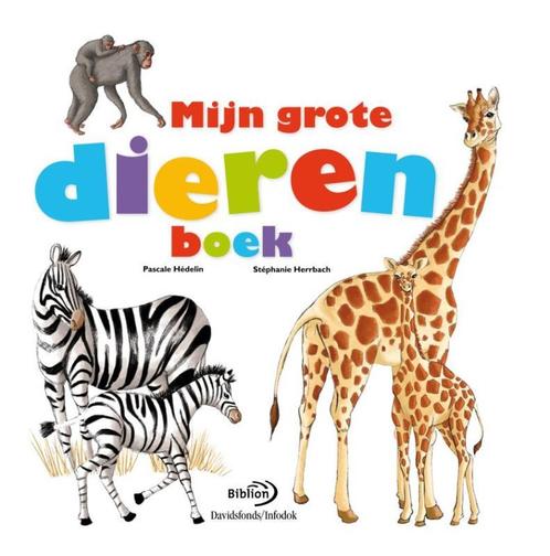 Mijn grote dierenboek 9789079806089, Livres, Livres pour enfants | Jeunesse | 10 à 12 ans, Envoi