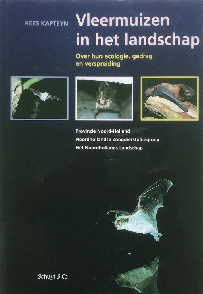 VLEERMUIZEN IN HET LANDSCHAP 9789060973929 K. Kapteyn, Boeken, Wetenschap, Zo goed als nieuw, Verzenden