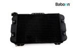 Radiateur Suzuki GV 700 Madura 1985-1986 (GV700 GV700GL), Motoren, Verzenden, Nieuw