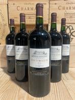 2018 Château Haut Rozier - Bordeaux - 6 Magnums (1,5 l), Collections, Vins