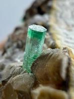 Volledig beëindigde, tweekleurige transparante schone, Verzamelen, Mineralen en Fossielen
