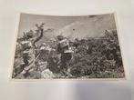 Wiktor Ostrowski (1905-1992) - WWII: Battle of Monte Cassino