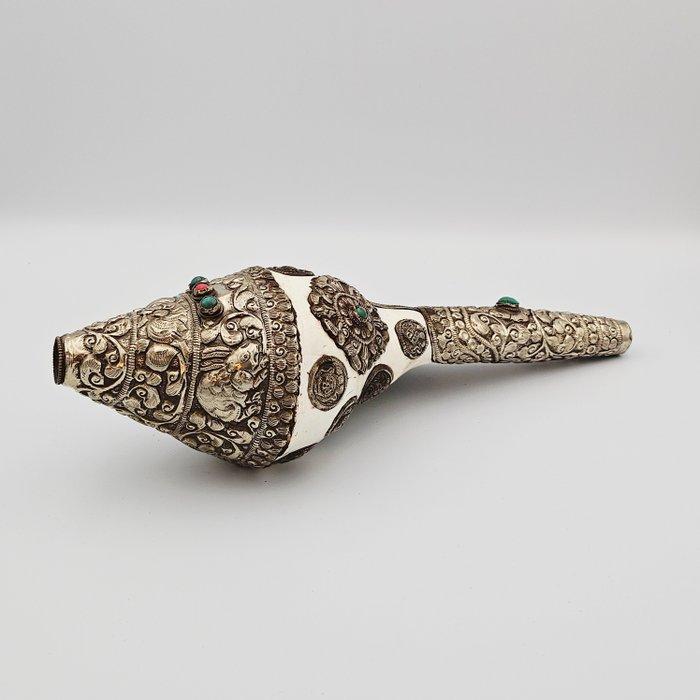 Oud Tibetaans of Nepalees Concheschil en verzilverd metaal, Antiek en Kunst, Antiek | Overige Antiek