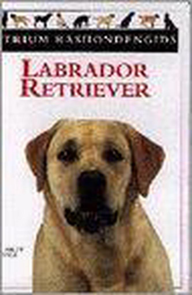 Labrador Retriever / Atrium rashondengids 9789061138037, Boeken, Hobby en Vrije tijd, Gelezen, Verzenden