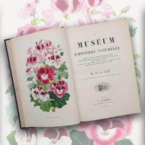 M. P. / A. CAP - Muséum DHistoire Naturelle - 1854, Antiek en Kunst, Antiek | Boeken en Manuscripten