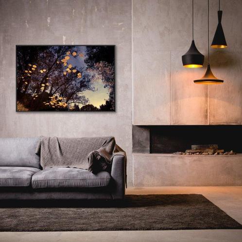Jorge Omeñaca - Pond in the sky, Antiek en Kunst, Kunst | Designobjecten