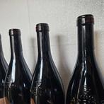 2019 Costa Arente - Amarone della Valpolicella DOCG - 6, Collections