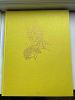 Alfred Werner and Josef Bijok - Butterflies and Moths { 39
