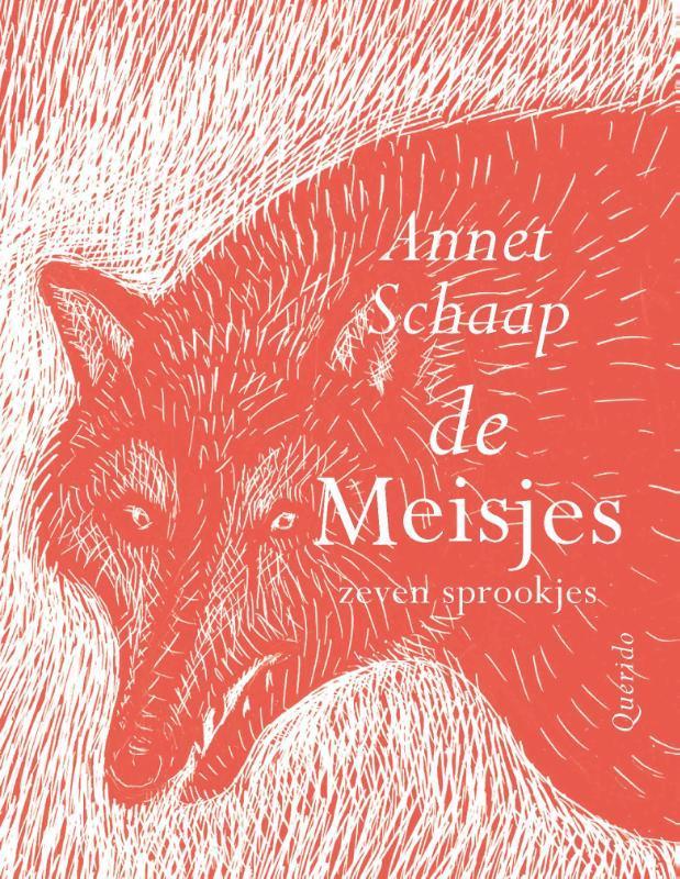 De meisjes 9789045126692 Annet Schaap, Boeken, Kinderboeken | Jeugd | 10 tot 12 jaar, Zo goed als nieuw, Verzenden